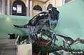 VBS_0918 - Dinosauri. Terra dei giganti